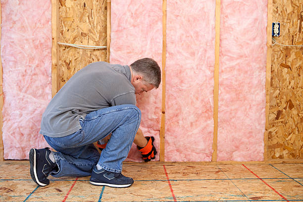 Best Commercial Insulation in Garden Ridge, TX